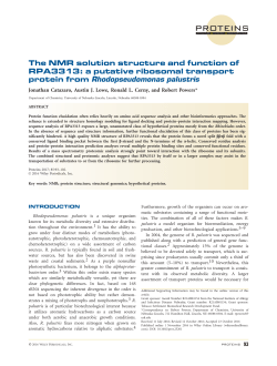 The NMR solution structure and function of