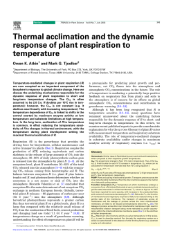 Thermal acclimation and the dynamic response of plant respiration