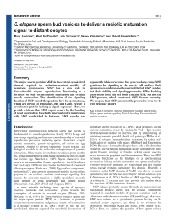 C. elegans sperm bud vesicles to deliver a meiotic maturation signal