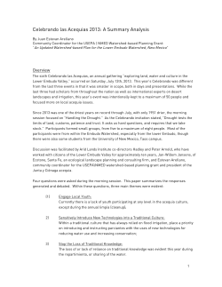 rev_Celebrando 2013 Summary_Analysis-2 copy