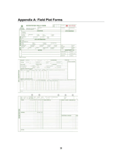 TEM Report Appendices