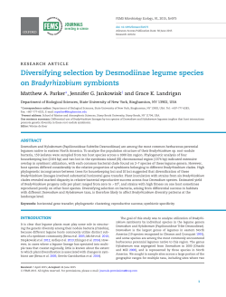 Diversifying selection by Desmodiinae legume species on