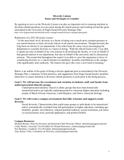 Diversity Liaison Issues and Strategies to Consider