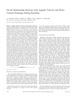 On the Relationship Between Joint Angular Velocity and Motor