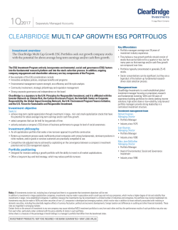 clearbridge multi cap growth esg portfolios