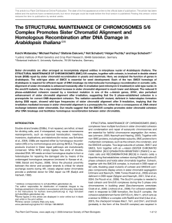 The STRUCTURAL MAINTENANCE OF CHROMOSOMES 5/6
