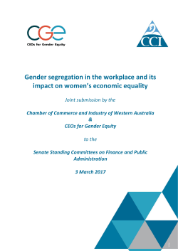 Gender Segregation in the workplace and women`s