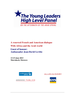 Ambassador Jean-David Levitte - French