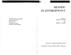 meaning in anthropology