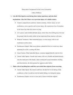 Observation Assignment for the Lower Extremities Ashley DeMarco