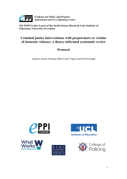 Domestic violence research protocol