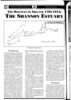 the Shannon Estuary by Paul M. Kerrigan