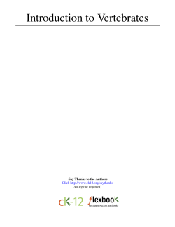 Introduction to Vertebrates