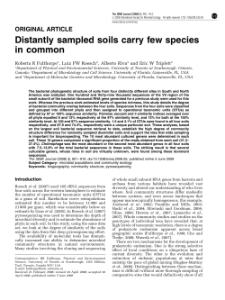 Distantly sampled soils carry few species in common
