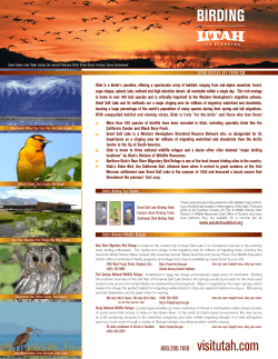 birding - Visit Utah