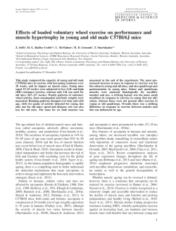 Effects of loaded voluntary wheel exercise on performance and