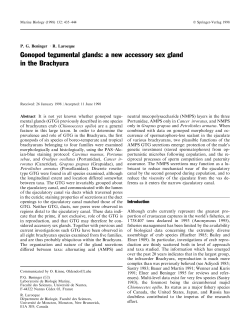 Gonopod tegumental glands: a new accessory sex