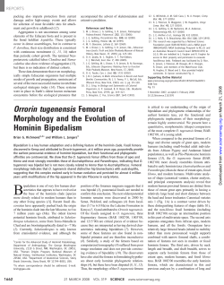Orrorin tugenensis Femoral Morphology and the - gwu