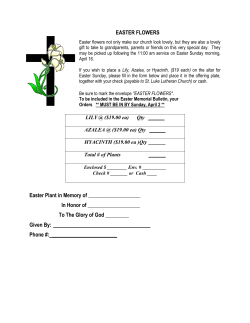 EASTER FLOWERS Easter Plant in Memory of In Honor of To The