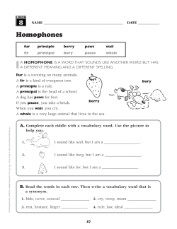Homophones 8