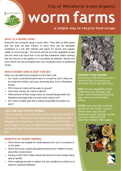 worm farms a simple way to recycle food scraps City of Whitehorse