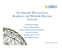 The Interplay Between Gene Regulatory and Metabolic Reaction