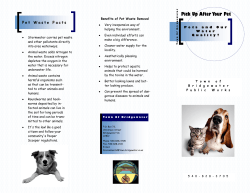 Pick Up After Your Pet - Town Of Bridgewater, Virginia