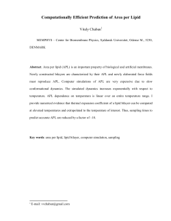 Computationally Efficient Prediction of Area per Lipid
