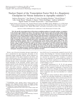 Nuclear Export of the Transcription Factor NirA Is a