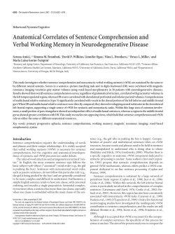 Anatomical Correlates of Sentence Comprehension and Verbal