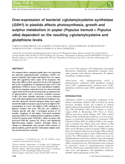 Over‐expression of bacterial &gamma;‐glutamylcysteine synthetase (GSH1
