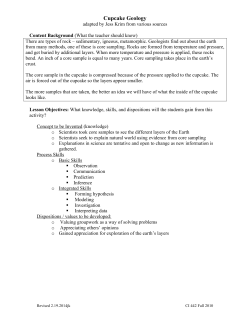 cupcake.investigative activity