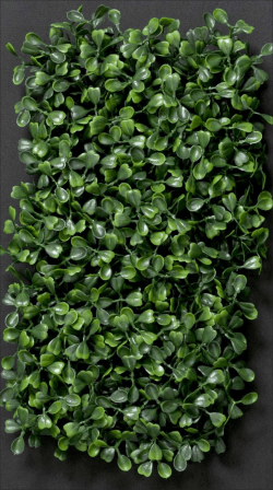 Extreme User Innovation - Statens Museum for Kunst