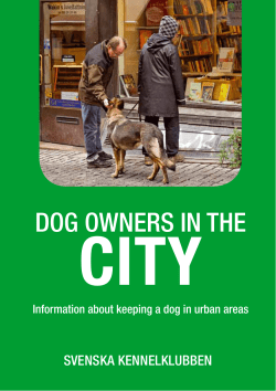 Dog owners in the city - Svenska Kennelklubben