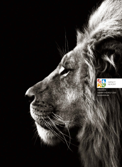 impact report - Omaha Zoo Foundation