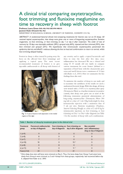 A clinical trial comparing oxytetracycline, foot