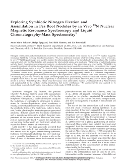 Exploring Symbiotic Nitrogen Fixation and