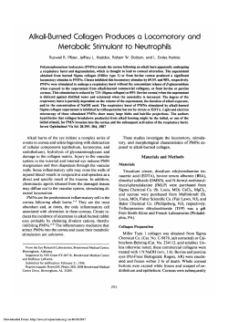 Alkali-burned collagen produces a locomotory and metabolic