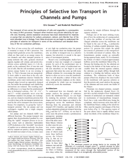 Principles of Selective Ion Transport in Channels and Pumps