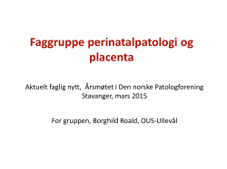 Faggruppe perinatalpatologi og placenta