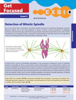 Exbio Issue 3 Mitotic