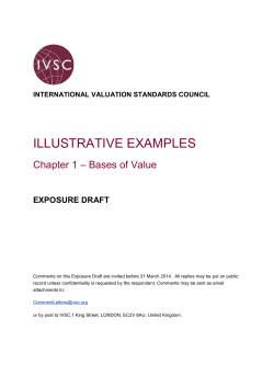 ILLUSTRATIVE EXAMPLES