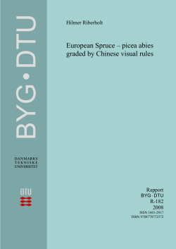 European Spruce – picea abies graded by Chinese