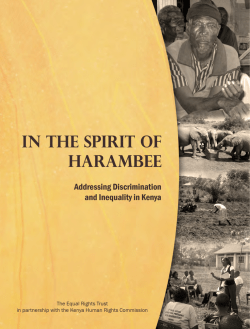 In the Spirit of Harambee Addressing Discrimination and Inequality