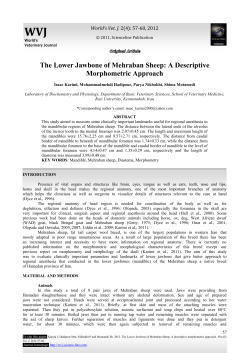 The Lower Jawbone of Mehraban Sheep: A descriptive