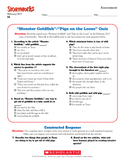 “Monster Goldfish”/“Pigs on the Loose” Quiz