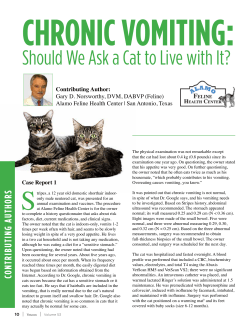 Should We Ask a Cat to Live with It? - Veterinary Diagnostics