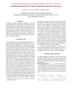 Subpixel Registration in Renal Perfusion MR Image Sequence