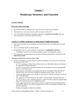CHAPTER 8 MEMBRANE STUCTURE AND FUNCTION