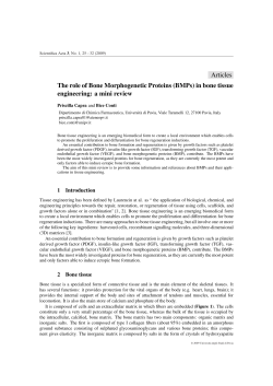 in bone tissue engineering: a mini review